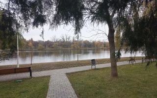 Închiriere apartament decomandat 2 camere McDonald's Colentina, parc Plumbuita - Poză 5