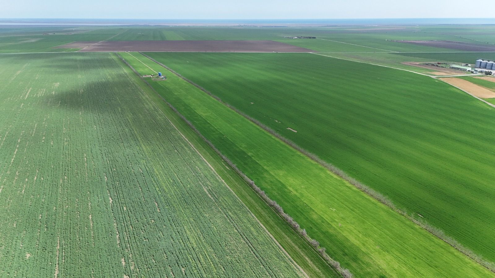 Teren de vanzare in Săcele ideal pentru silozuri, fermă 6 ha - Poză 24