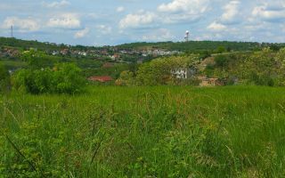 Teren de vânzare în Oradea, judet Bihor - Poză 3