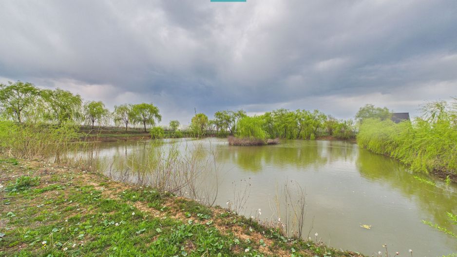 Teren 1 ha cu baltă populată – Alioș (Mașloc) - Poză 2