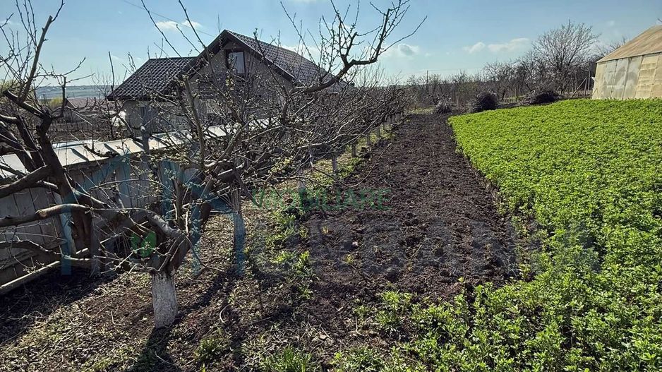 Teren de vânzare cu seră și vie în com. Belcești, jud. Iași - Poză 1