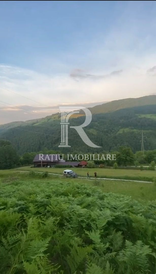 Teren 10.900mp | Panoramă în Apuseni | Remeți -Ideal pentru Investitii - Poză 8