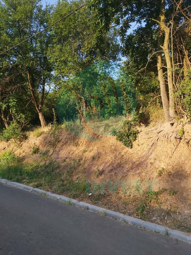 TEREN 1690 MP - ORAS STREHAIA - Poză 6