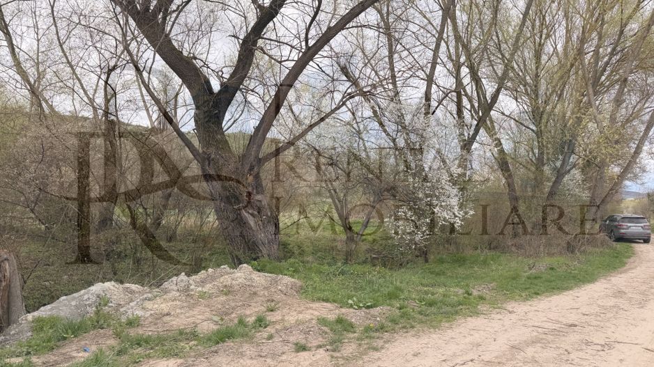 Comision 0! | Casă + teren generos | 2600 m² | Oportunitate unică - Faureni - Poză 35