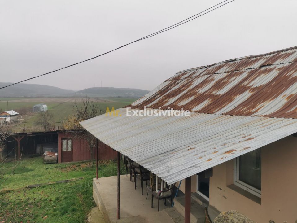 De vanzare casa in Argetoaia cu teren 7.000 mp - Poză 2