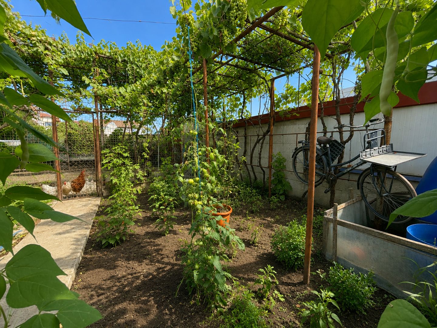 Casa P+1 | 317 mp teren | Ovidiu - Poză 34