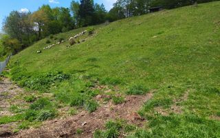 NAMAESTI - Valea Mare Pravat, 7000 mp. teren intravilan, ideal locuinta - Poză 4