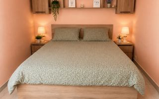Apartament cochet-Restaurant Dacia-Valea Rosie - Poză 1