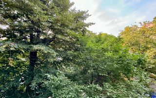 Apartament cu 3 camere // Zona Tei - Doamna Ghica - Poză 30