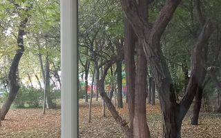 De inchiriat garsoniera , Berceni - Poză 7