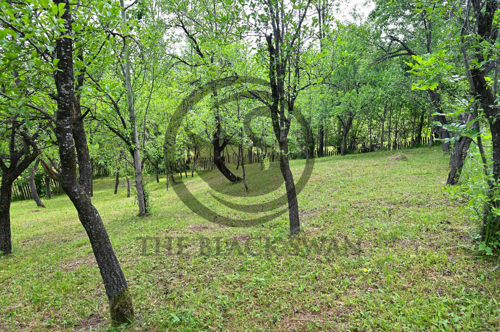 Casa 4 camere de vanzare | Zona linistita | Talea Prahova | Comision0% - Poză 17