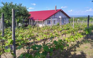 Casa + garaj + 5400 mp teren in Tomesti Goruni, zona de vis, nu rata - Poză 22