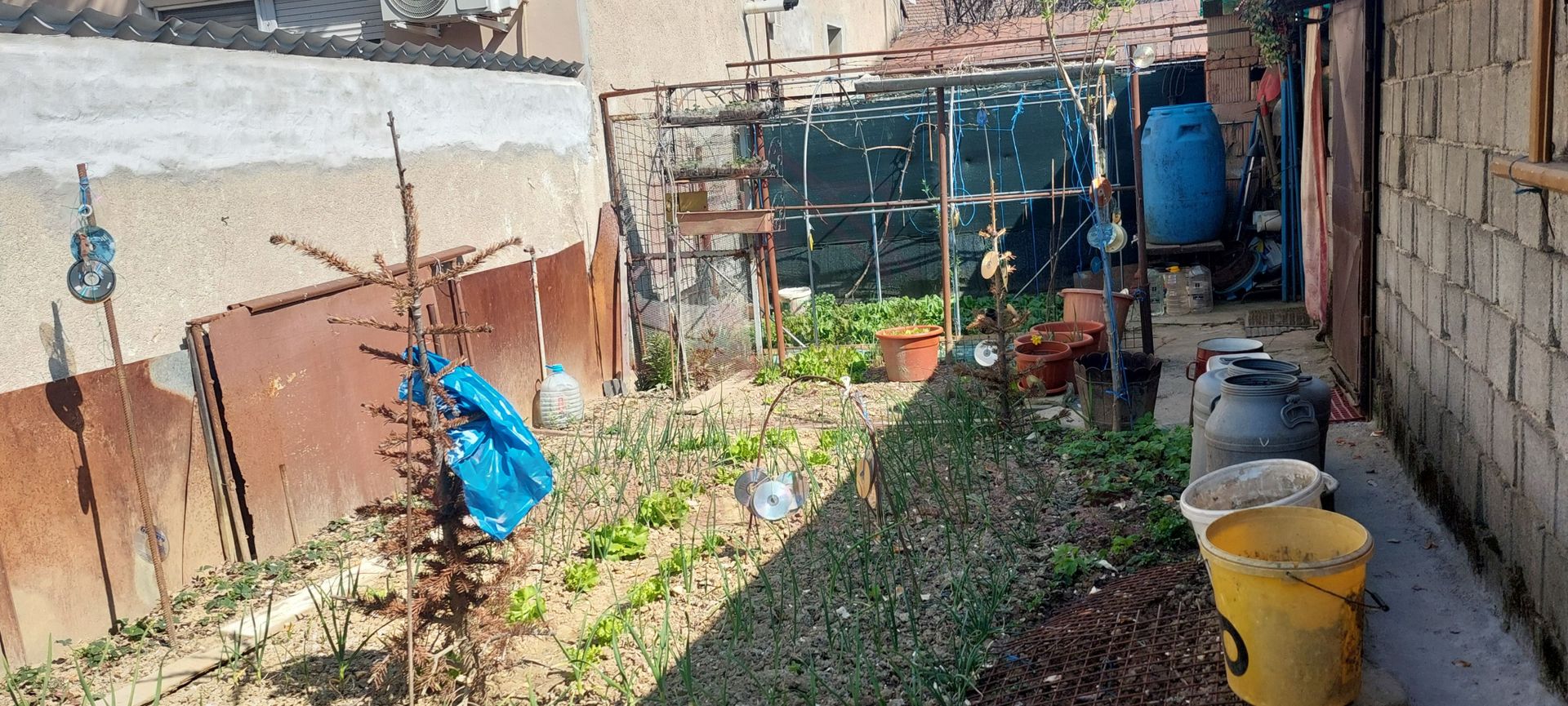 1\2 DUPLEX, DE VÂNZARE, 4 camere\CARANSEBEȘ\ ZONĂ CENTRALĂ\JUD.CS - Poză 19