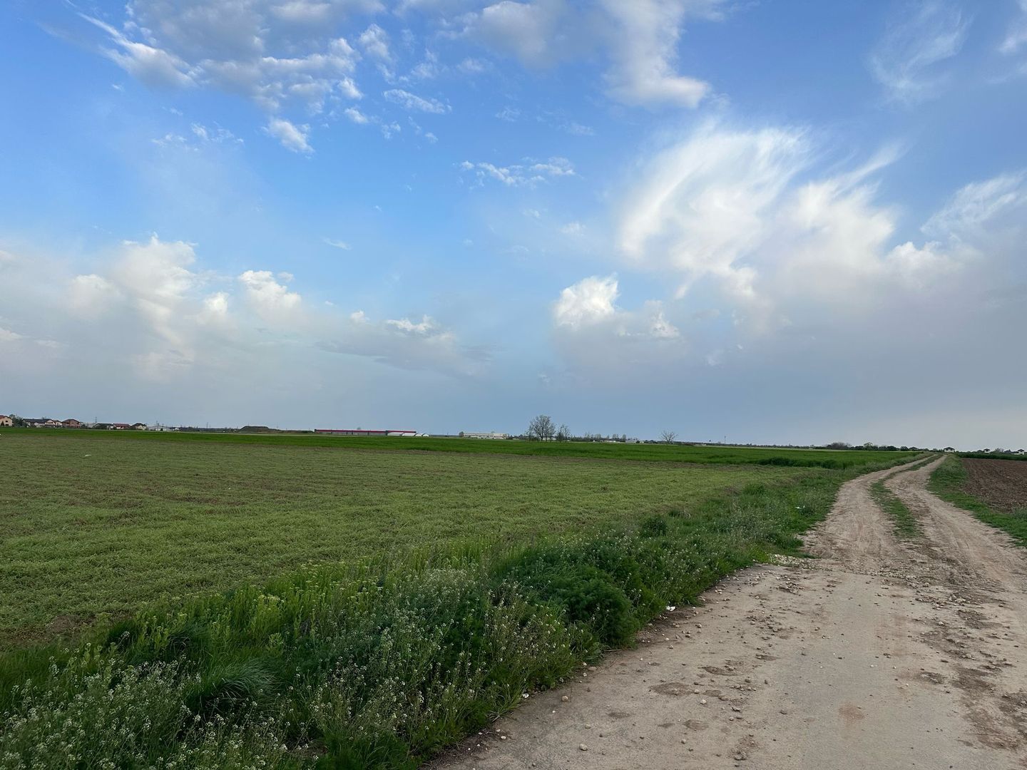 Teren intravilan cu destinatie rezidentiala 7.458 mp Balotesti - Poză 2