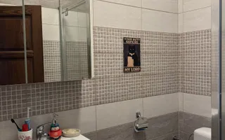 Casa insiruita cu 3 camere in Dumbravita - Poză 11