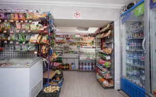 Vânzare, casă + afacere, str. Cetatea Albă, Botanica - Poză 33