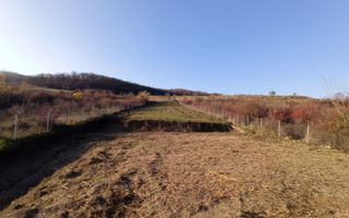 Teren Viisoara 27 ari - Poză 2