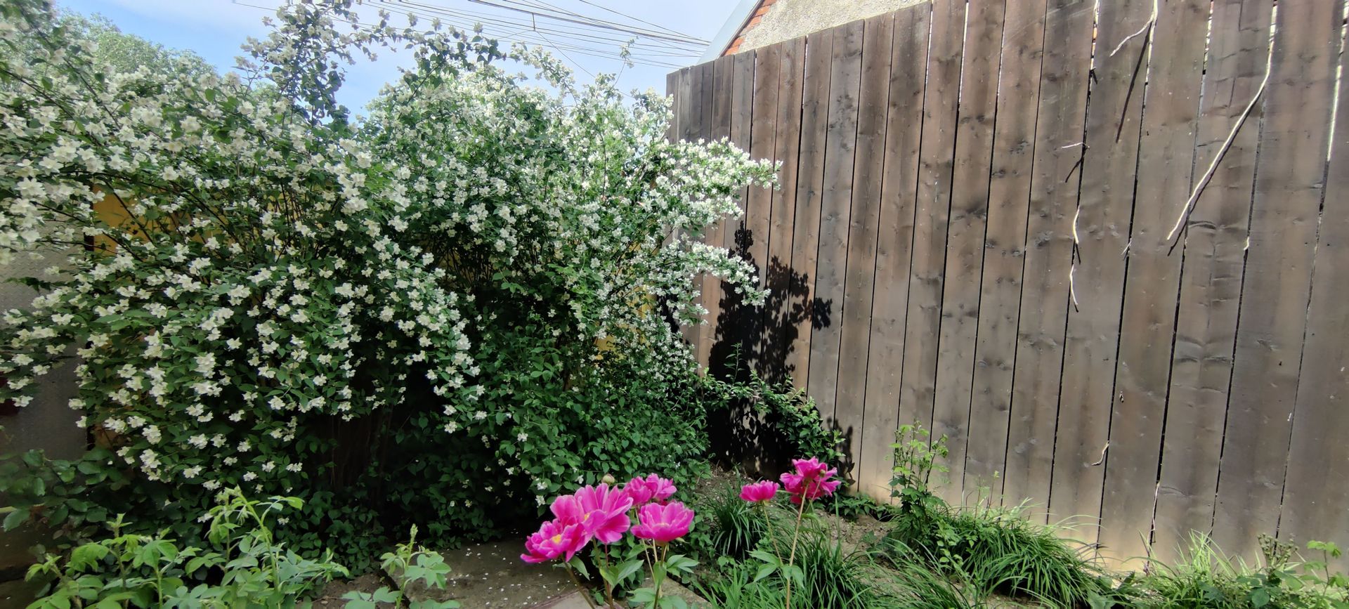 CASA INDIVIDUALA SI HALA CU TEREN  4000 MP - Poză 38