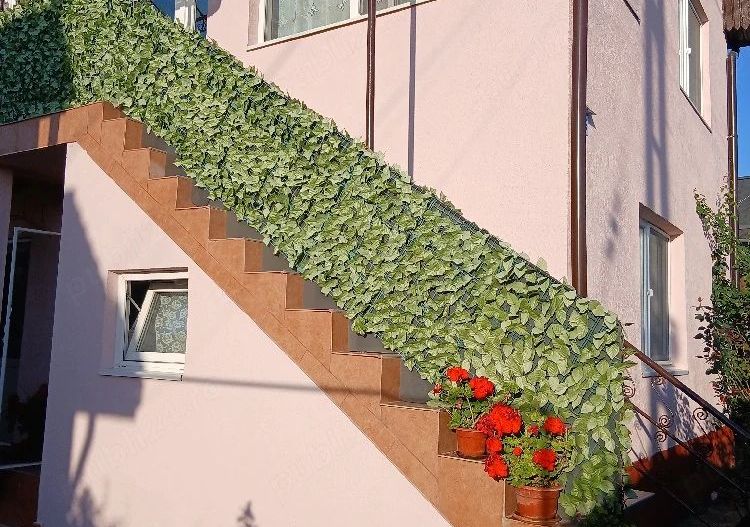 🏡 CASĂ SPAȚIOASĂ CU 5 CAMERE, CURTE ȘI TEREN - Poză 3
