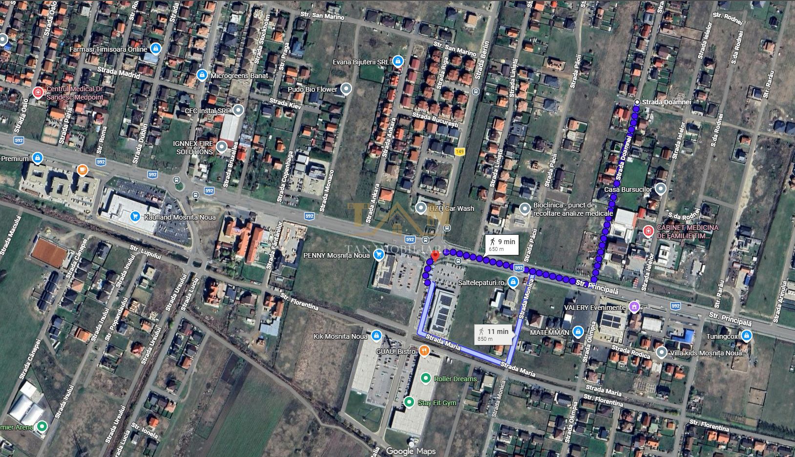 Teren Generos Cu Utilitati in Mosnita Noua Comision 0 - Poză 2