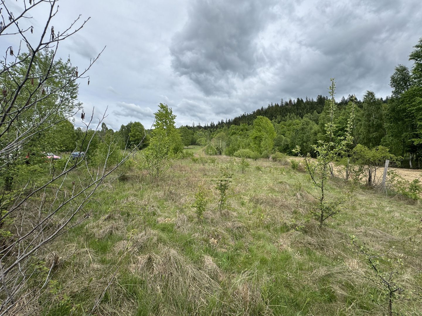 TEREN INTRAVILAN 6680 MP LERESTI ARGES - Poză 4