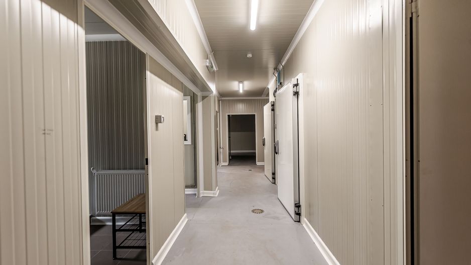 Unitate de abatorizare și procesare carne DN7  -  Nădlac - Poză 7