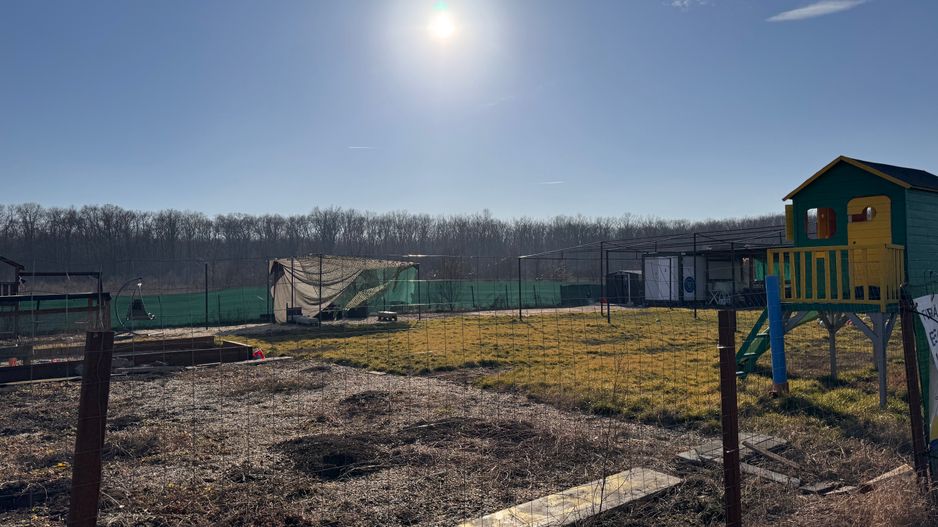 Teren 898mp dubla deschidere 59ml, Baneasa sector 1, Greenfield - Poză 5