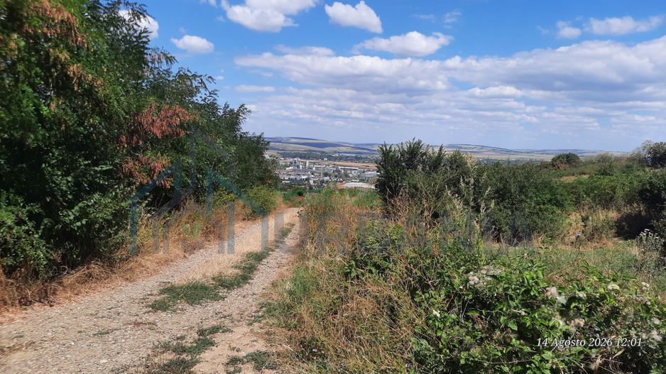 Teren 10.000 mp în Tomesti, zona Vladiceni – oportunitate de investiție - Poză 8