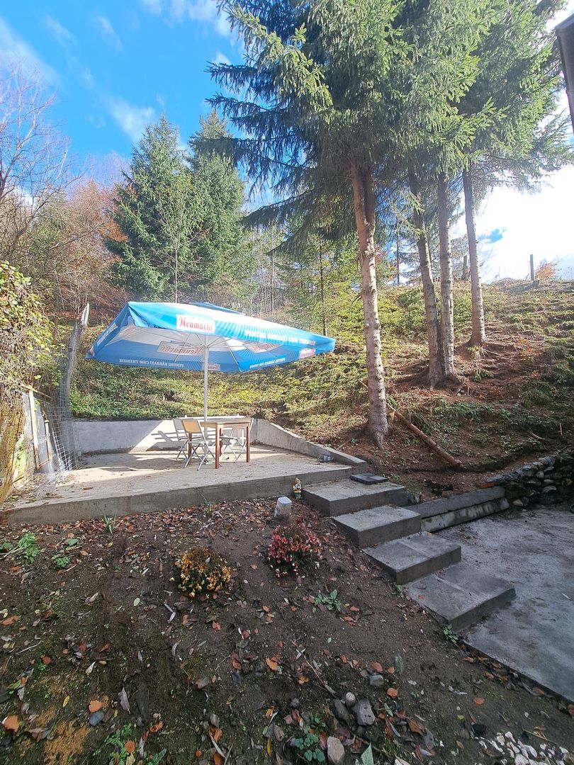 Vanzare Casa de Vacanta, Rucar - Poză 10