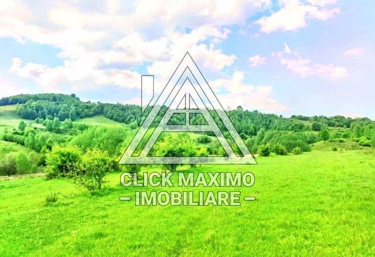 25.000 mp TEREN Ciucea – Calea Lata, jud. Cluj - Poză 3