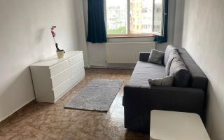 Vacaresti // reabilitat // centrala proprie - Poză 2