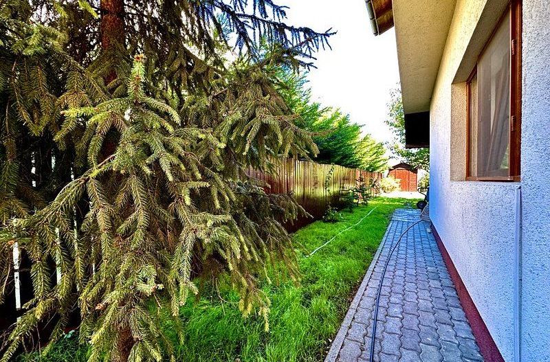 Casa de inchiriat în Calea Aradului - Poză 28