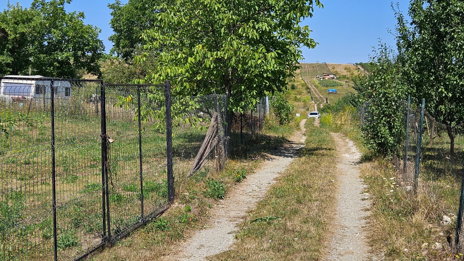 Teren 1.801 mp constructie casa individuala, Borhanci - Poză 6