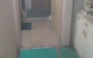 Apartament 3 camere – 72 mp | Etaj 1/4 | An 1982 | Rahova - Poză 6