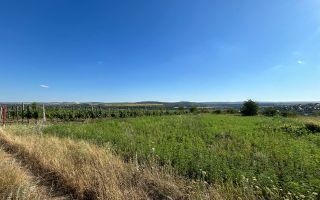 Teren de vânzare 10 ari Sângera (Floreni) - Poză 5
