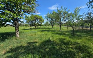 Casa Individuala, 4 Camere 1500mp Teren, Partos - Poză 16