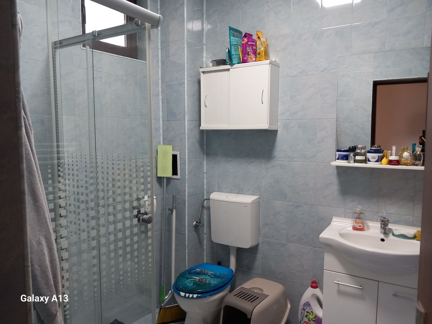 Ag BRASADAS vinde casa individuala 5 cam orasul PANTELIMON. - Poză 9