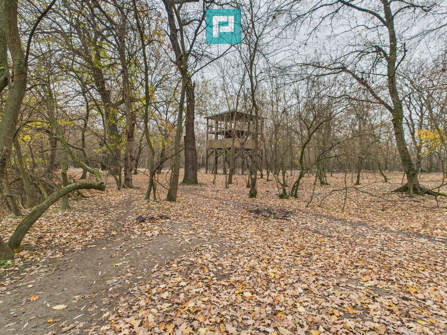 Teren pe malul Muresului- oportunitati multiple - Poză 6