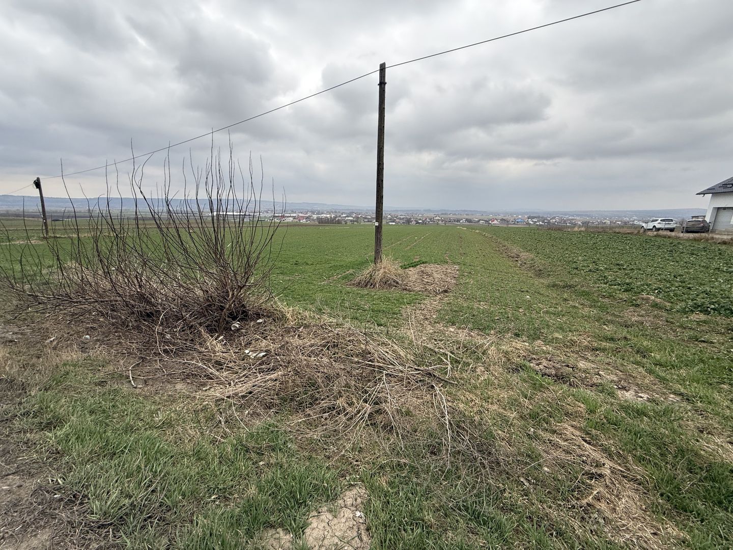 Teren intravilan | Grănicesti | 32 ARI - Poză 1