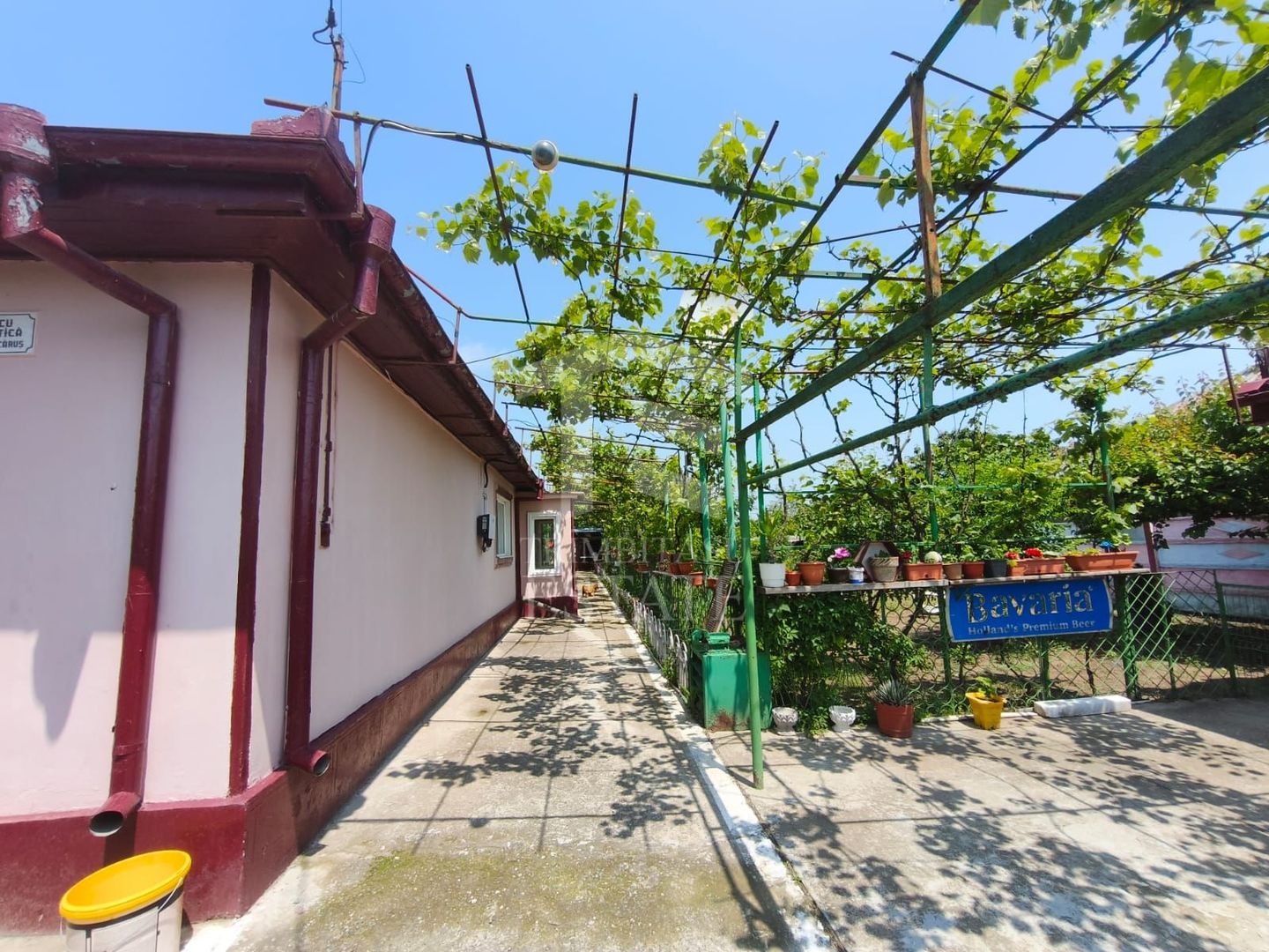 CASA  POIANA | PANOURI SOLARE | TEREN 800 MP - Poză 2