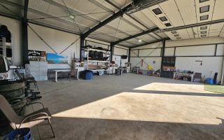 Caut coleg hala - Poză 5