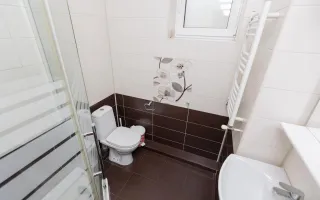 Chirie, Duplex, 6 camere, Strada Vasile Lupu, Buiucani - Poză 15