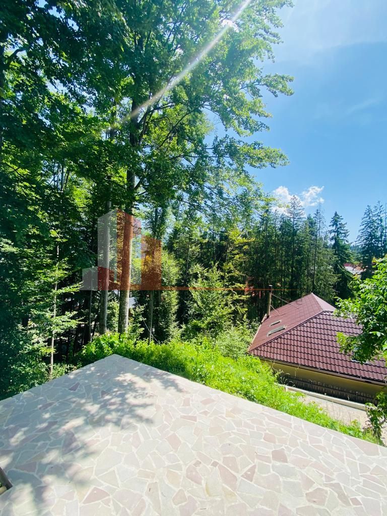 Vila Sinaia - Poză 13