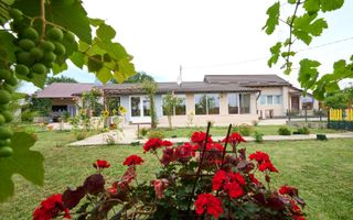 Casă cu teren generos – Vedea-Arges - Poză 4