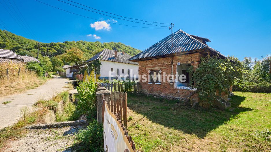 Casa cu teren de 1.200 mp si livada–Badesti, comuna Pietrosani, Arges - Poză 2