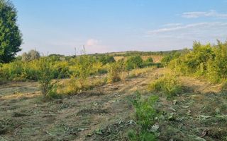 Teren intravilan 4.000 mp în sat Curături, comuna Ciurea - Poză 2