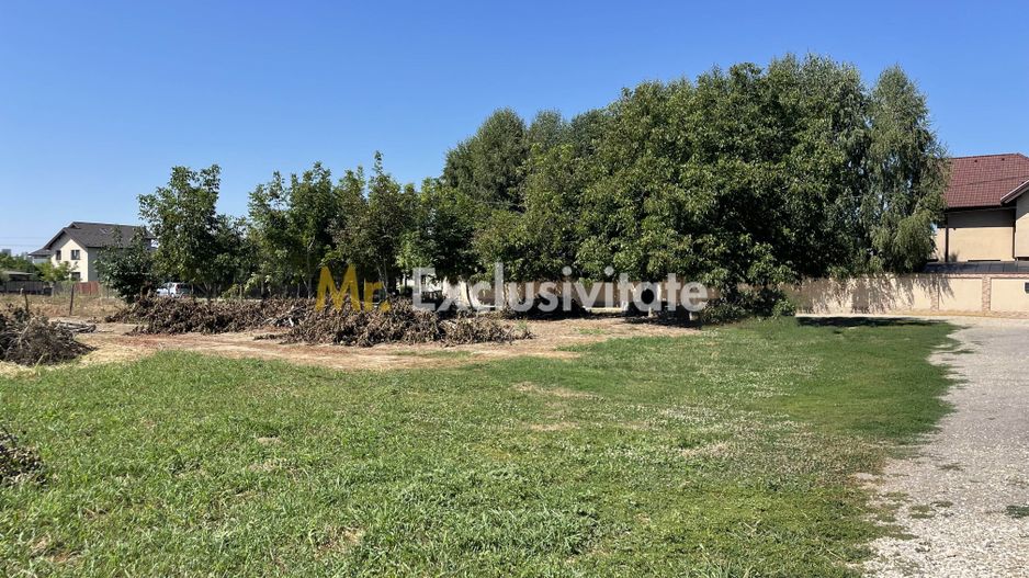 Teren 1.487 mp, doua deschideri la drum, Stefanestii Noi – Zavoi - Poză 5