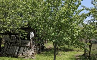 Teren 1.451 mp INTRAVILAN in Podari – Toate utilitatile - Poză 4