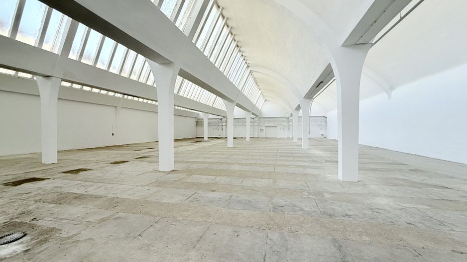 Hală industrială de producție/depozitare – Jilava, Str. Gării, 1797 mp - Poză 8