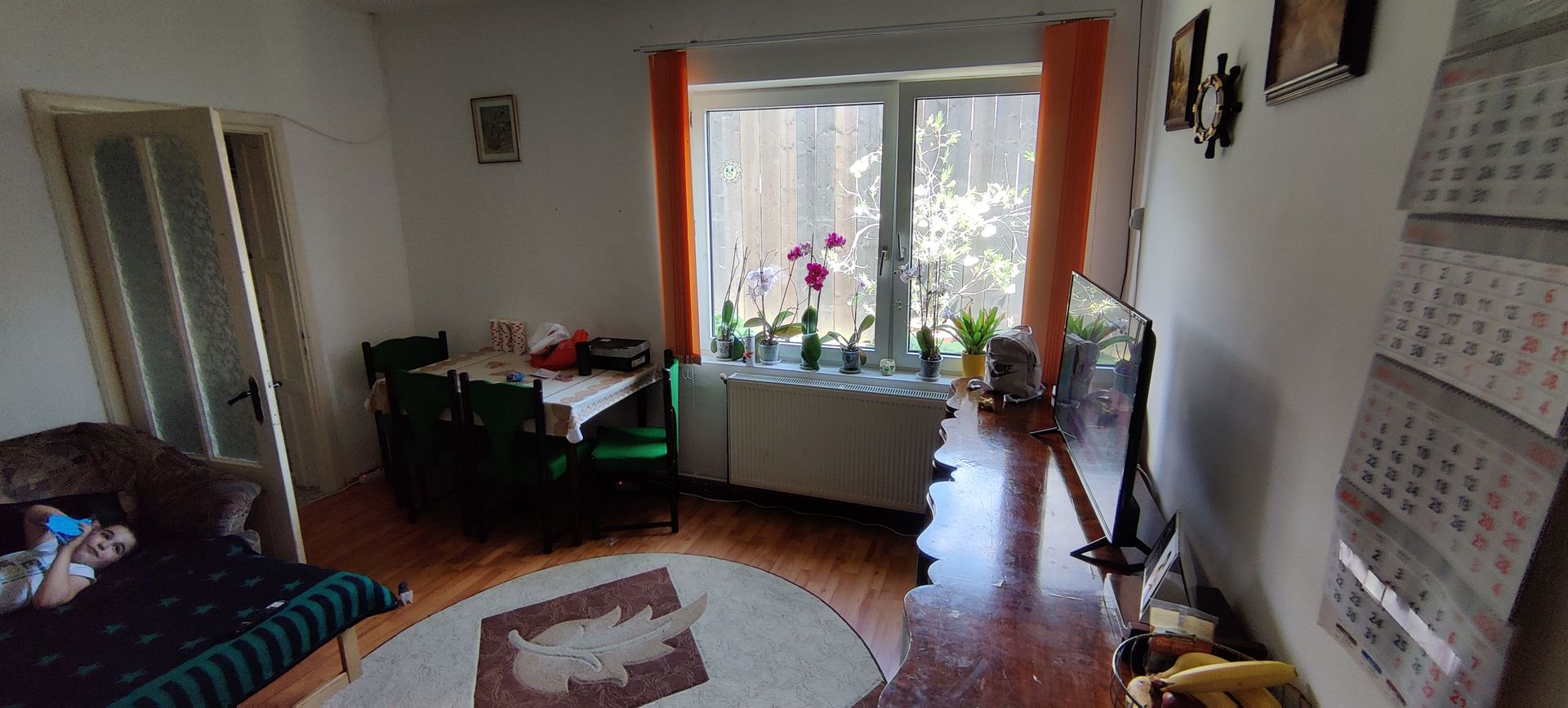 CASA INDIVIDUALA SI HALA CU TEREN  4000 MP - Poză 43